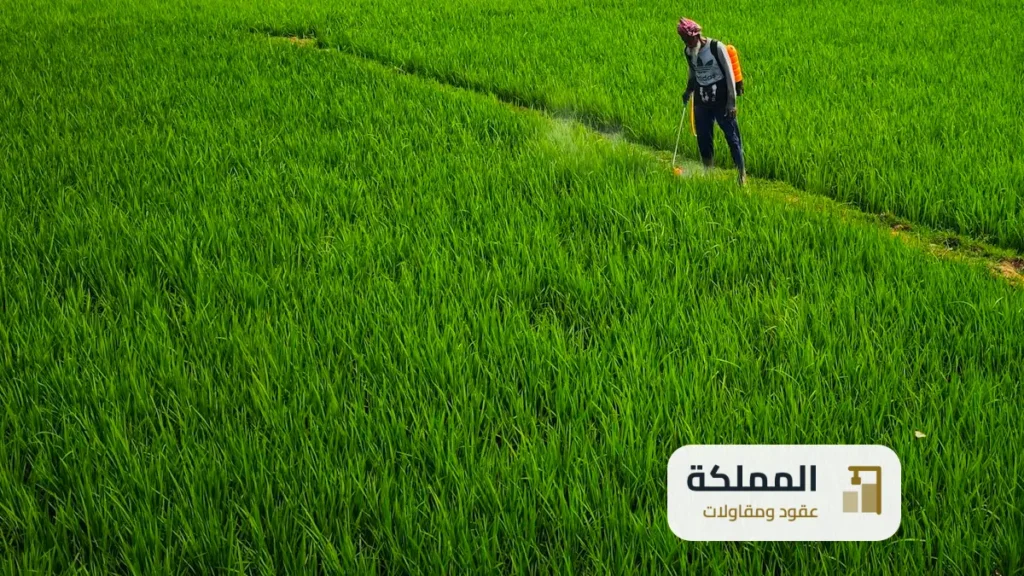 عقود مكافحة حشرات الاحساء