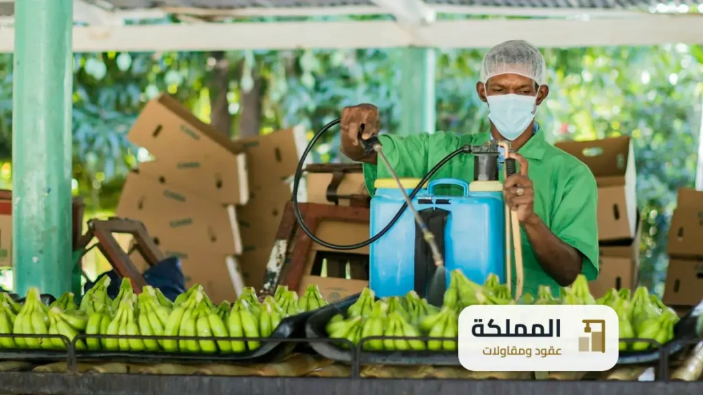 عقود مكافحة حشرات الظهران