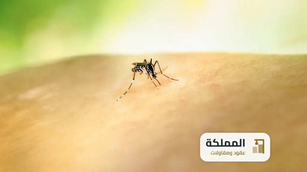 عقود مكافحة حشرات الظهران