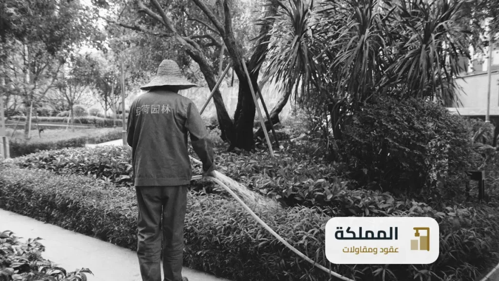 عقود مكافحة حشرات الجبيل