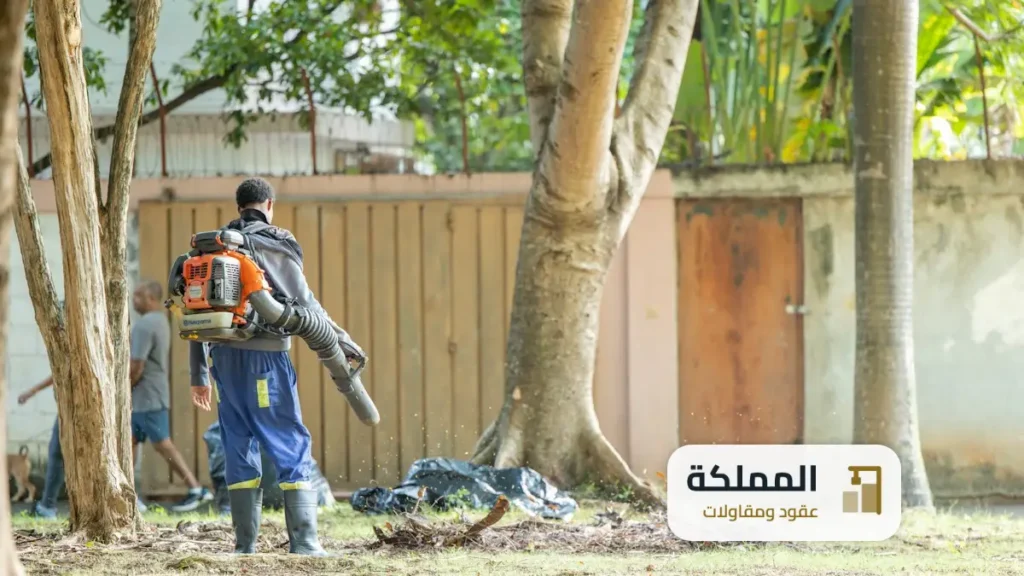 عقود مكافحة حشرات الجبيل