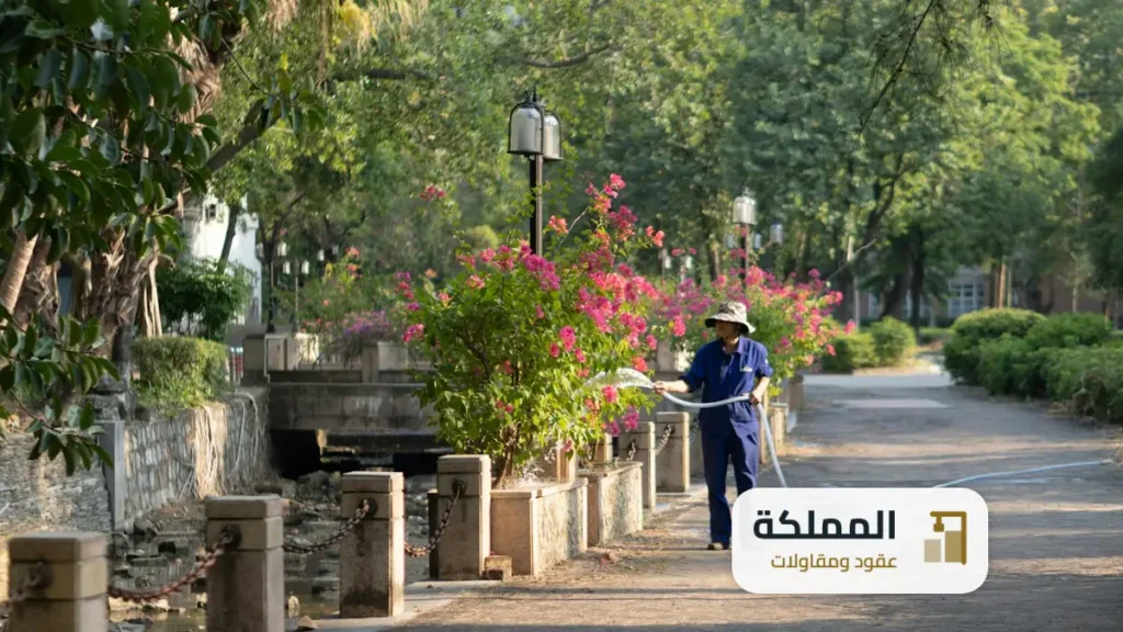 عقود مكافحة حشرات الخبر