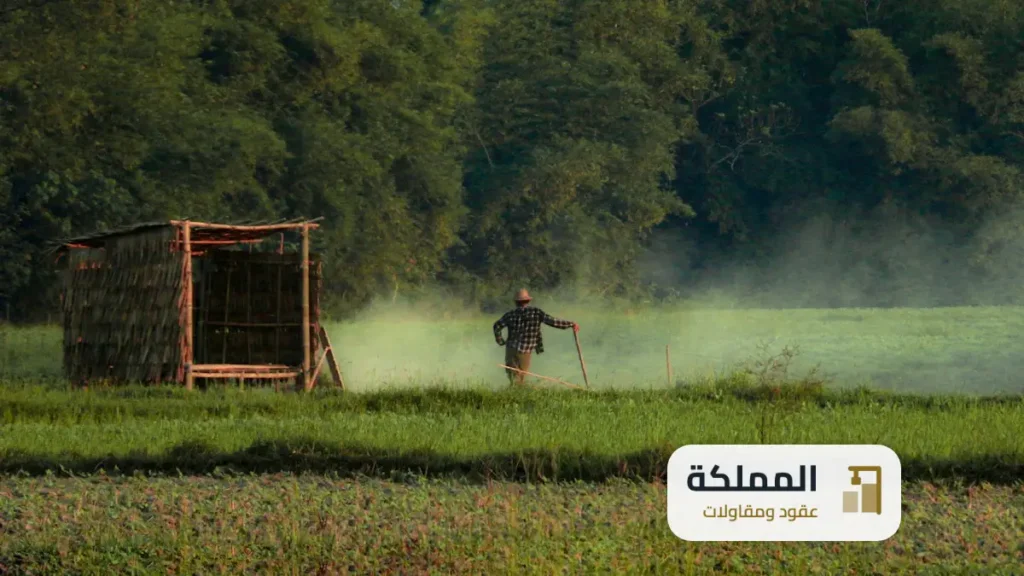 عقود مكافحة حشرات القصيم