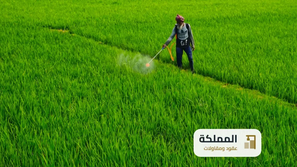 عقود مكافحة حشرات القطيف