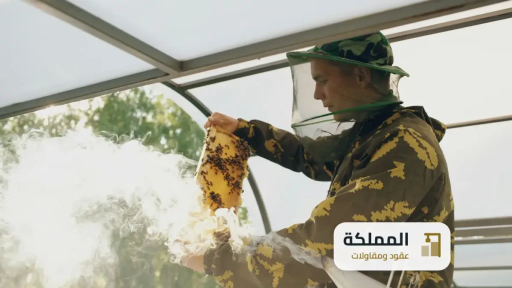عقود مكافحة حشرات بتبوك من بلدي