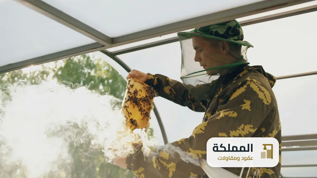 عقود مكافحة حشرات بتبوك من بلدي
