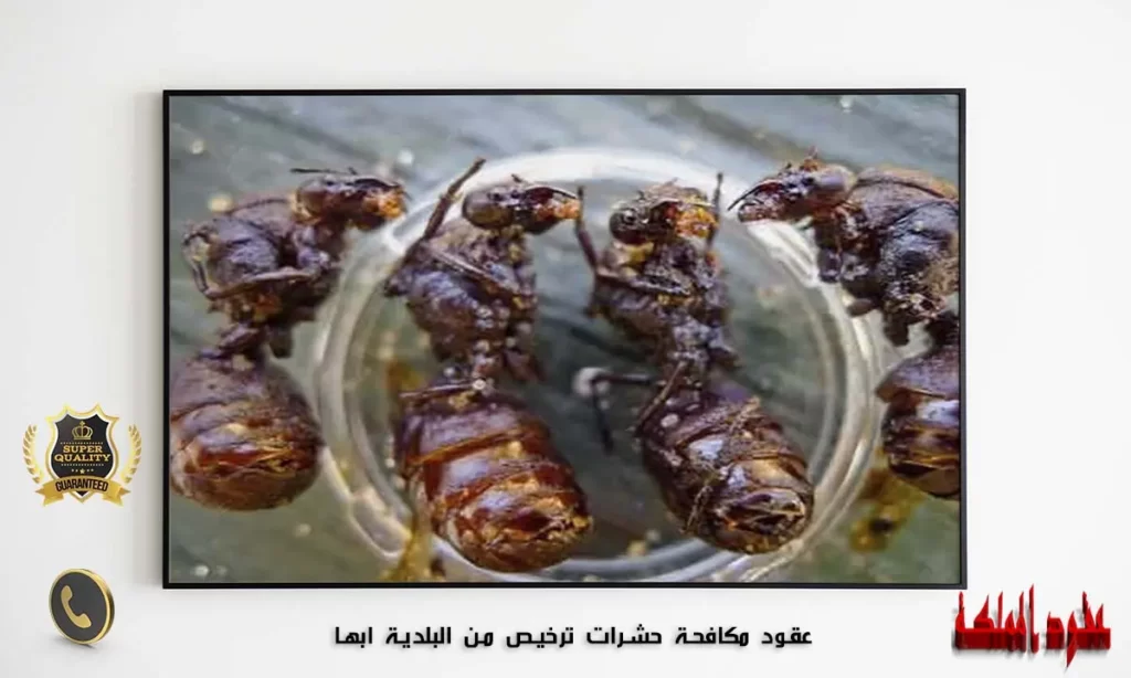عقود مكافحة حشرات ابها